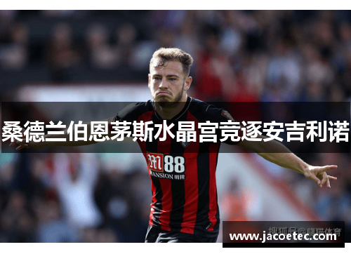 桑德兰伯恩茅斯水晶宫竞逐安吉利诺